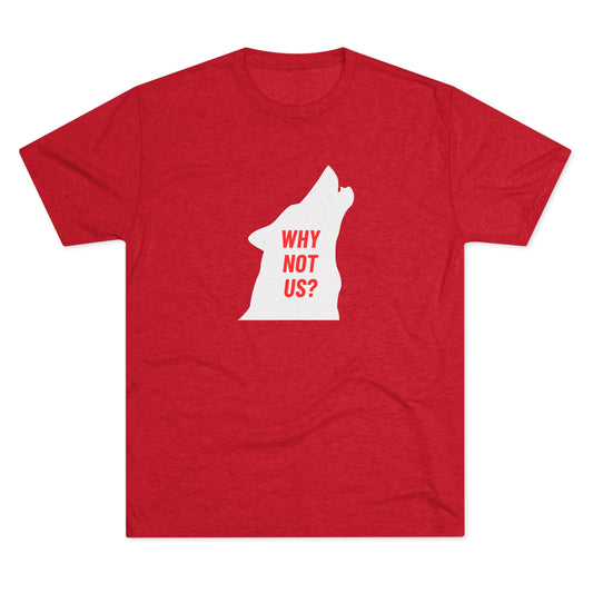 Unisex Tri-Blend Crew Tee