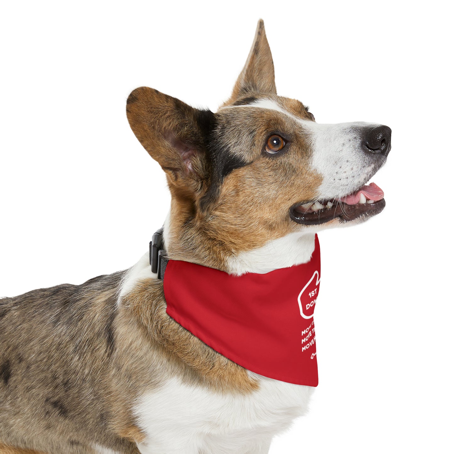 1ST DOWN Bandana Collar