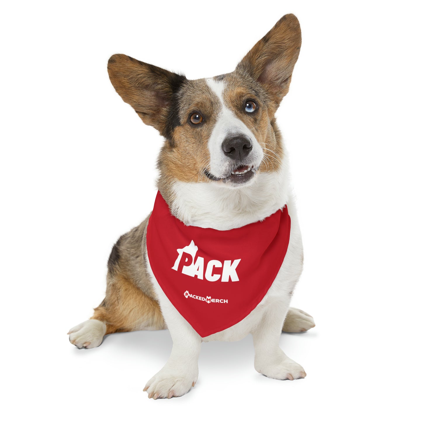 Pack Bandana Collar